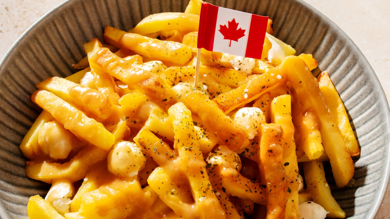 Bowl of Canadian poutine with fries, cheese curds, and gravy