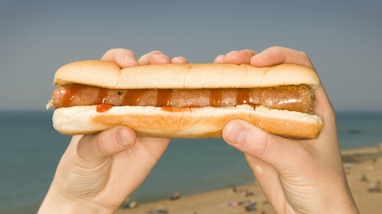 Hands holding a hotdog on a beach with the ocean in the background
