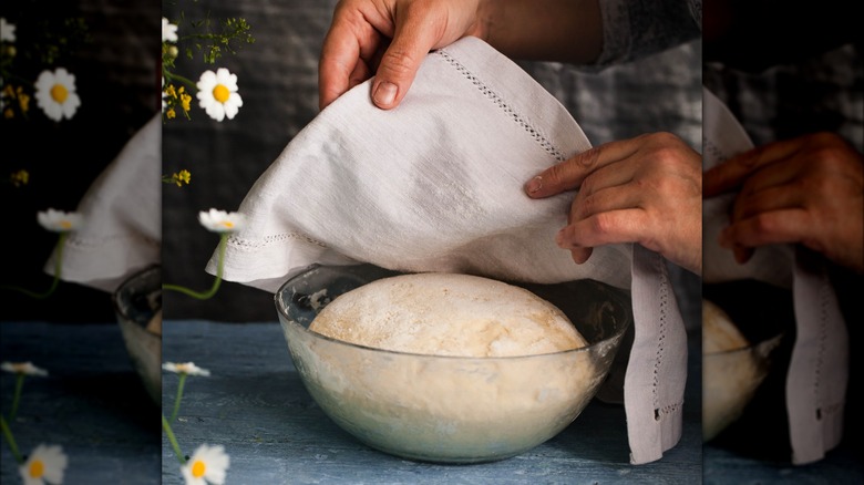 Risen bread dough in bowl