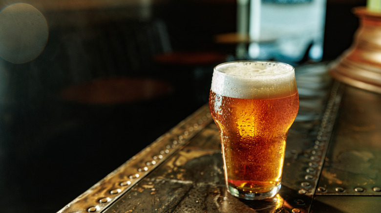 An icy cold lager in a glass sits on a bar.