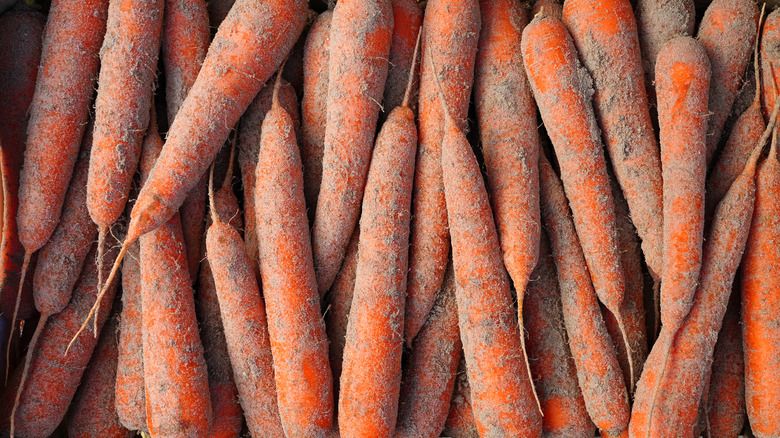 carrots covered in sand