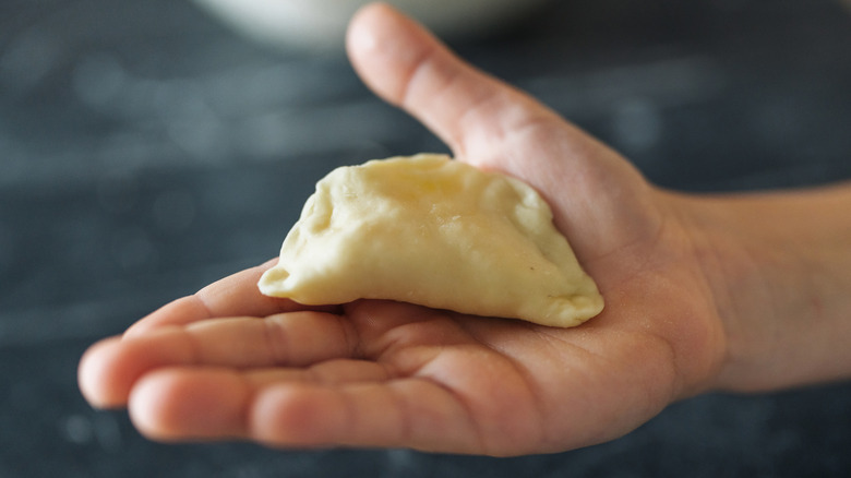 Hand holding an assembled dumpling