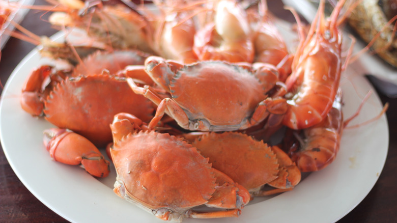 Crabs served on a white dish