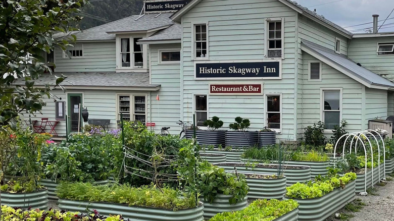 Garden beside the Historic Skagway Inn