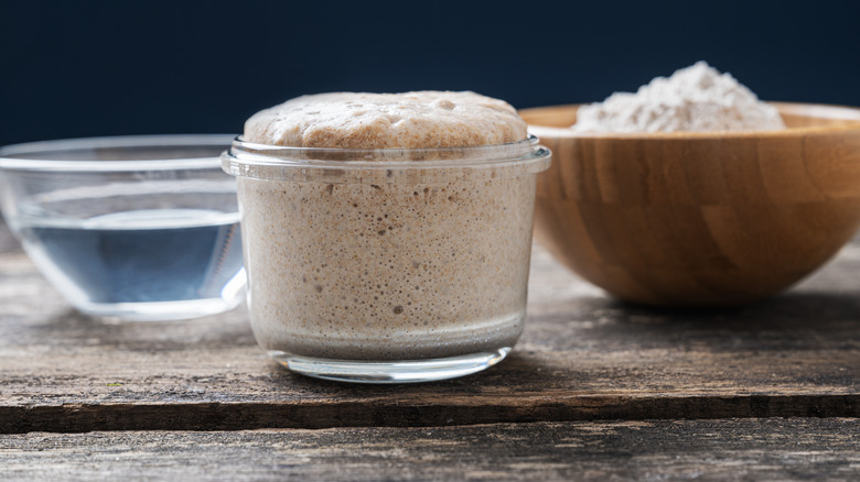 sourdough starter in a jar 
