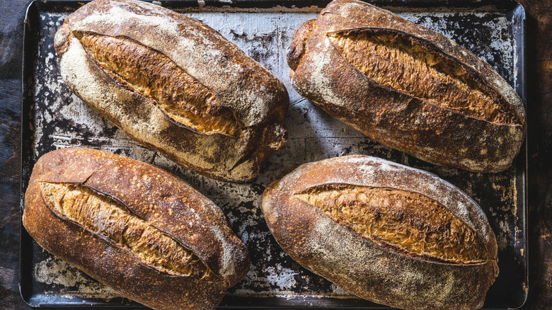 loaves of sourdough bread on a tray