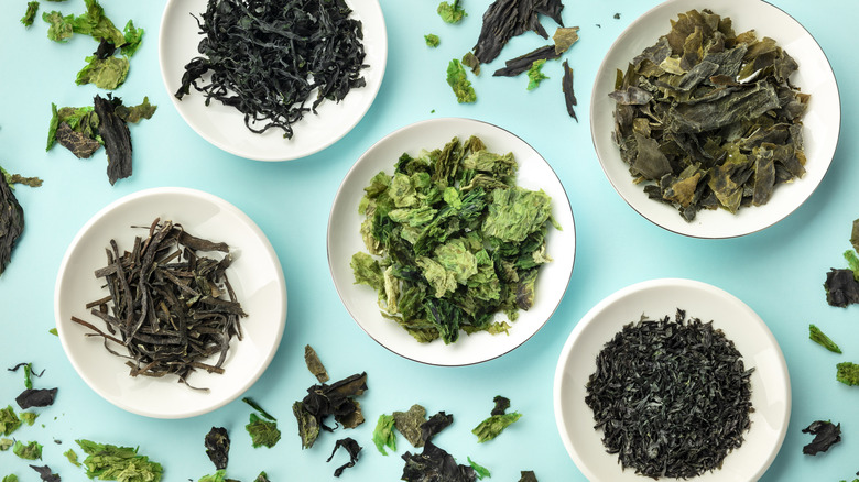 varieties of seaweed