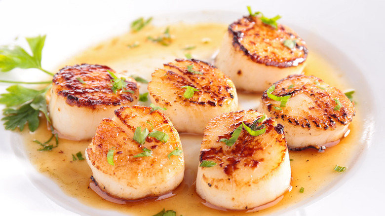 platter of seared scallops with herbs