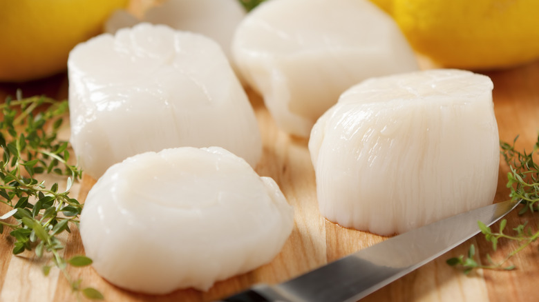 raw scallops on cutting board