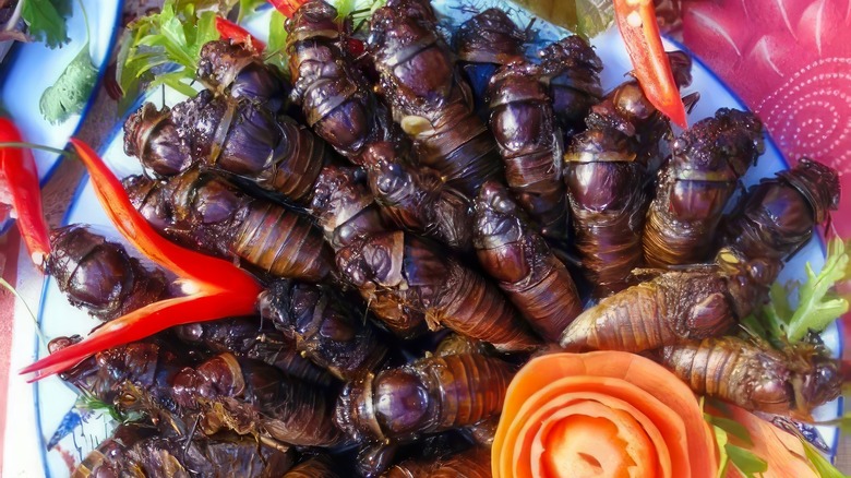 Fried cicadas plated with red peppers, carrot, and greens