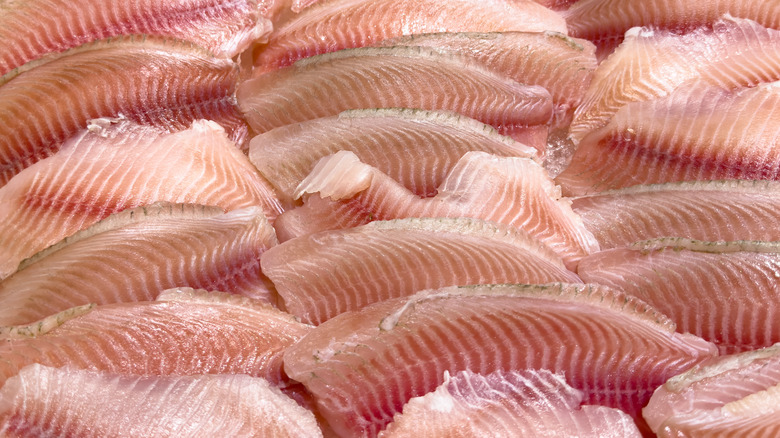 Many tilapia fillets sit in multiple rows, showcasing their pink color