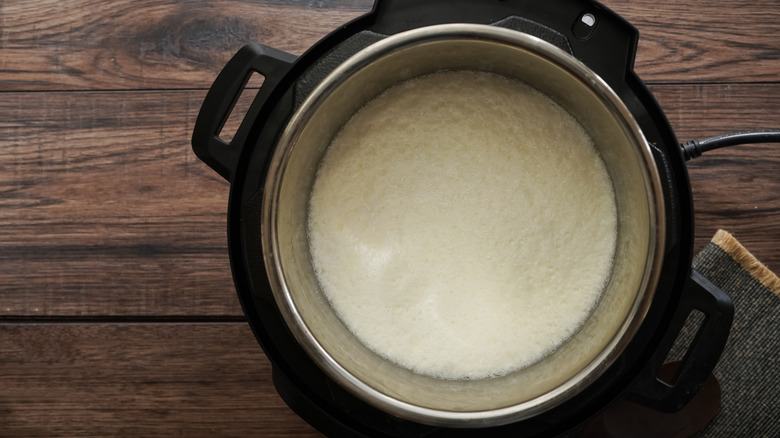 pressure cooker and yogurt