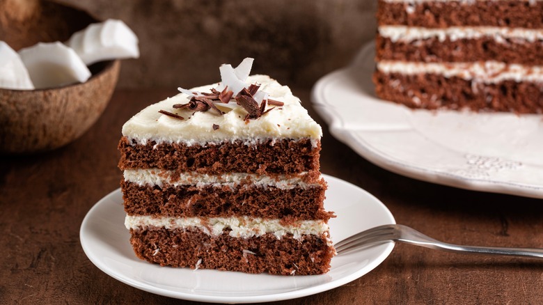 Coconut chocolate cake