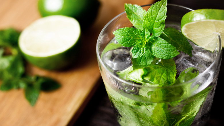 mojito cocktail close-up