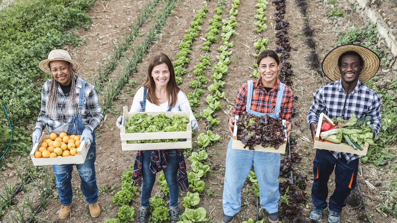Local young farmers in field