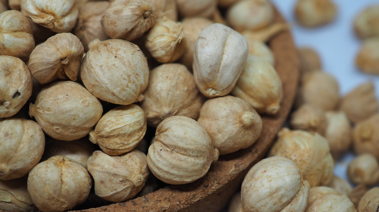 White cardamom pods in brown bowl