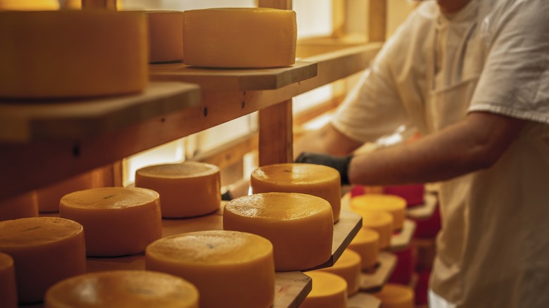 Cheesemonger surrounded by wheels of cheese