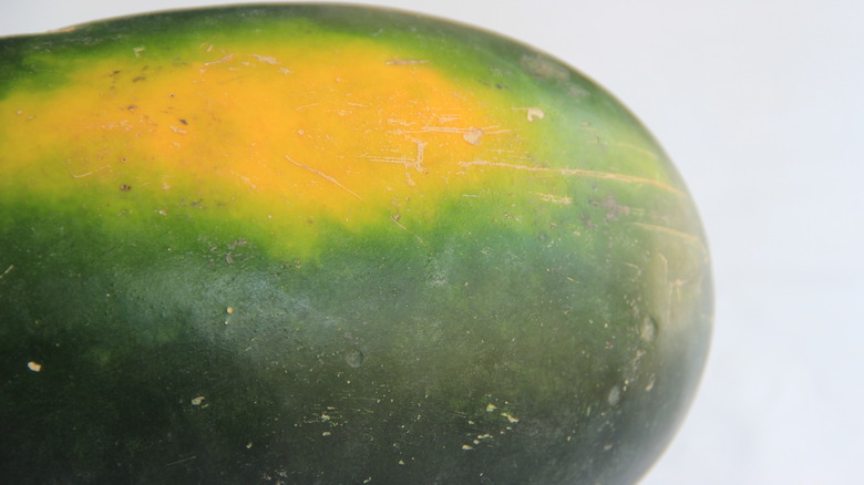 Moon and Stars watermelon
