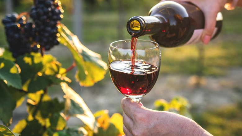 Red wine poured into a glass with wine grapes