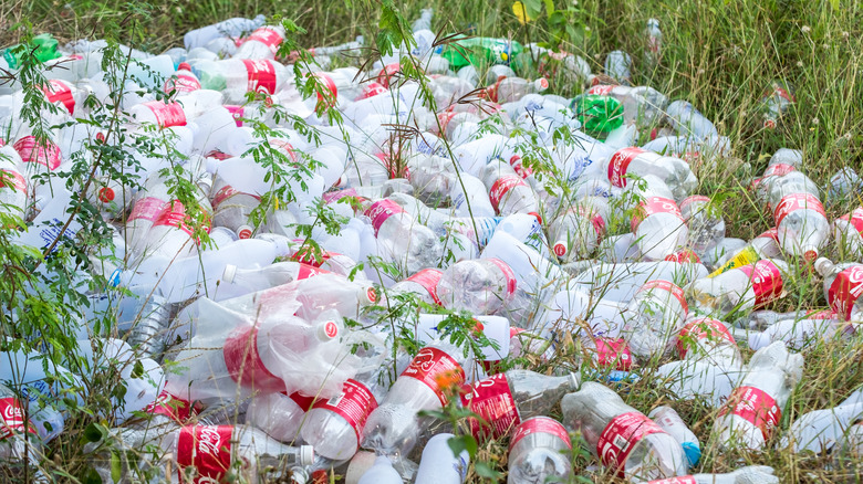 Coca-Cola bottles littered in field