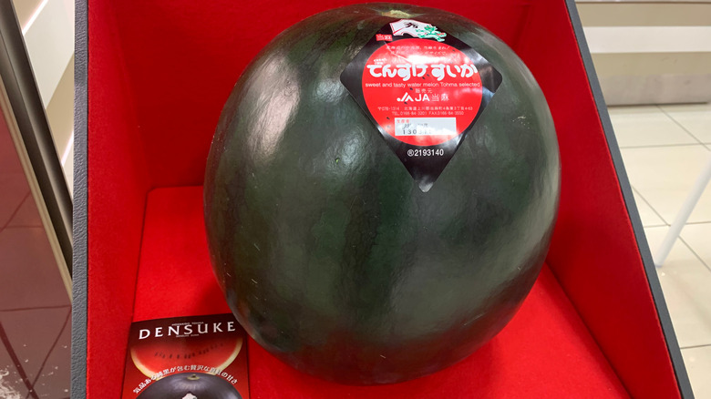 Densuke watermelon displayed for $700