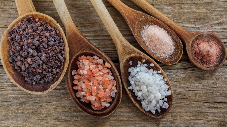 different types of salt on wooden spoons