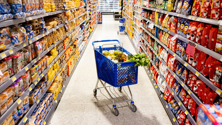 Shopping cart inside a store