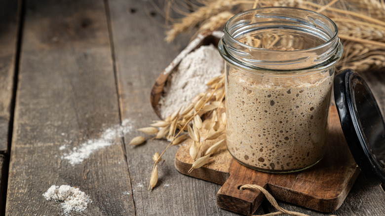 sourdough starter in a jar on wooden plant surrounded by wheat and flour