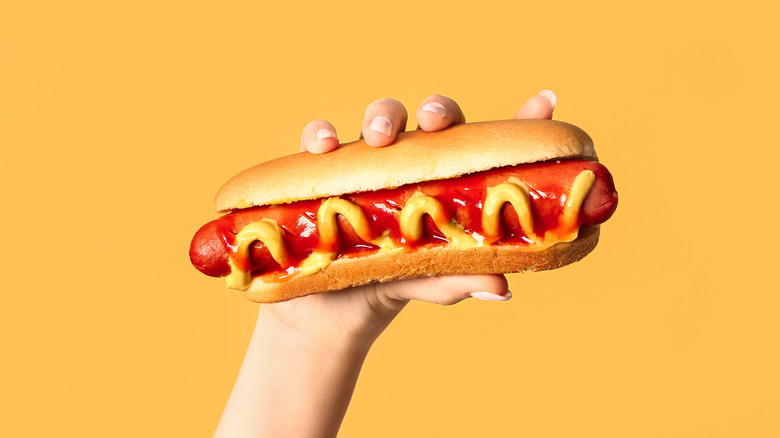 Hand holding a standard hot dog