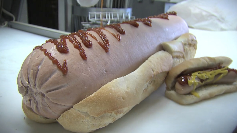 The world's largest commercially sold hot dog