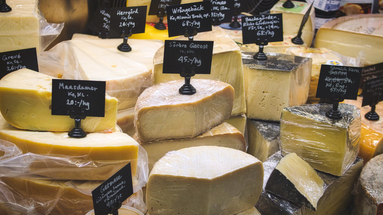 Cheeses wrapped in plastic