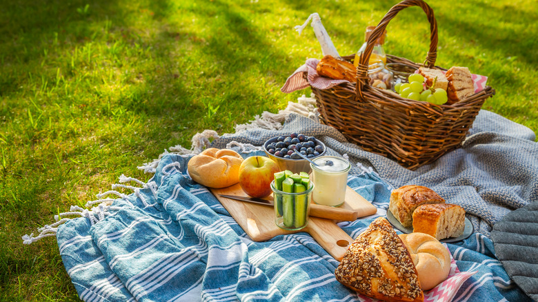 A picnic spread on some sunny grass