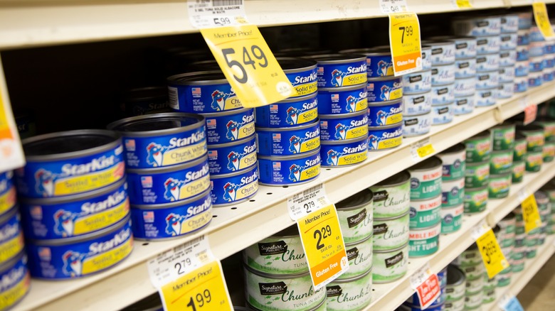 Brands of canned tuna on store shelves