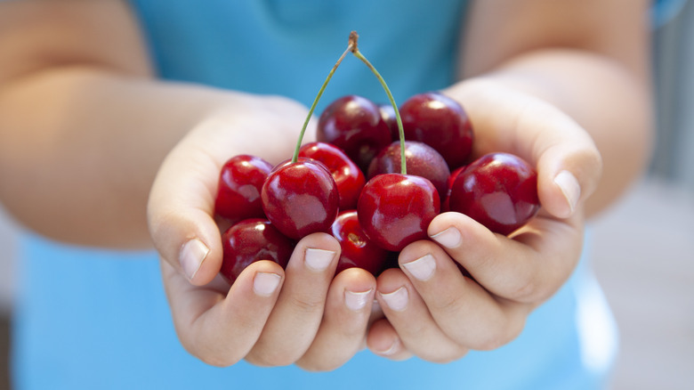 Kid holding cherries in hands