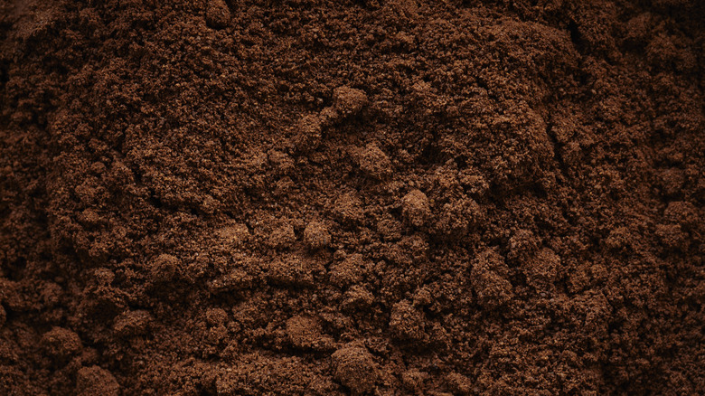 bird's eye view of ground coffee