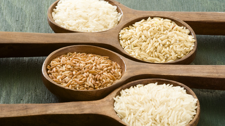 Different types of rice