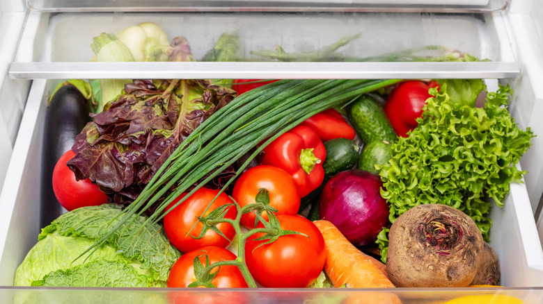 Vegetable compartment of the refrigerator full of fresh vegetables. Open fridge, drawer filled with fresh vegetables.