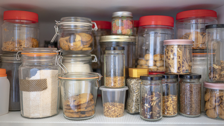 A variety of lidded cannisters and jars sit on a pantry shelf