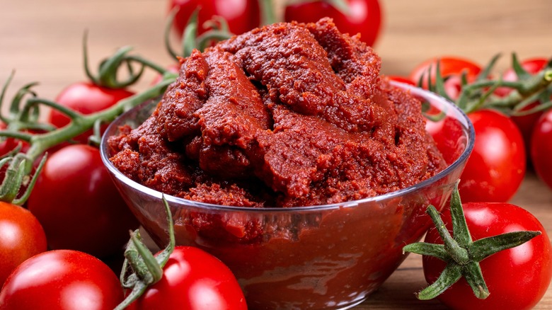 bowl of tomato paste with fresh tomatoes