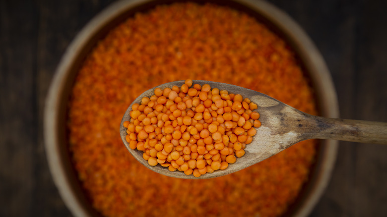 red lentils in a spoon