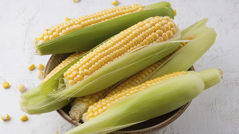 Bowl of freshly picked corn on the cob