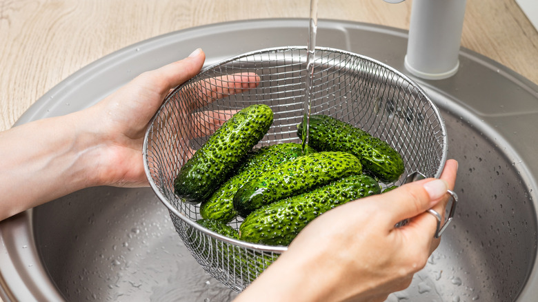 Hands washing speckled cucumbers in a colander in the sink