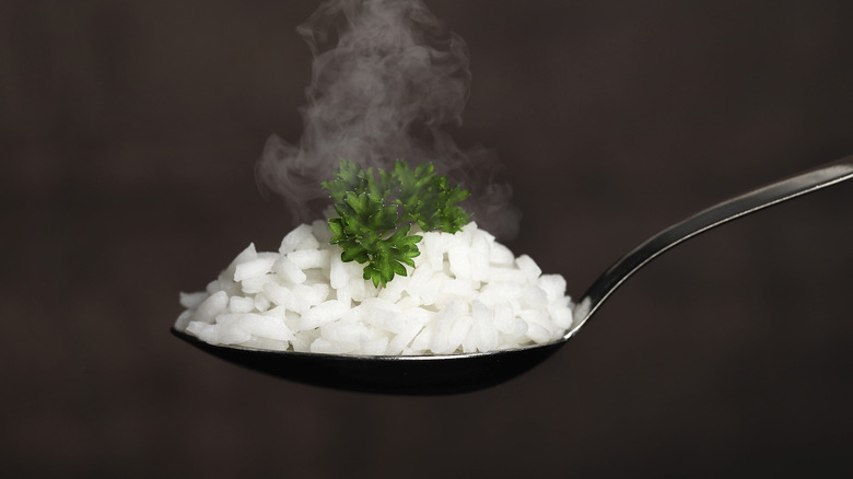 Steam rises from a spoonful of rice, garnished with an herb