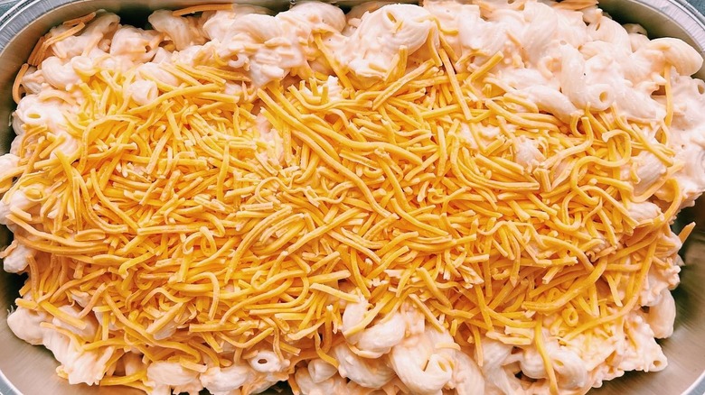 Close up of Costco Kirkland Signature take and bake mac and cheese