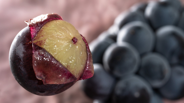 A close-up photo capturing a Kyoho grape, with its juicy flesh exposed after peeling, showcasing the rich and vibrant purple and green fruit