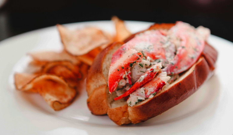 The Tortoise Club's Lobster Roll With Lemon-Herb Mayonnaise Recipe
