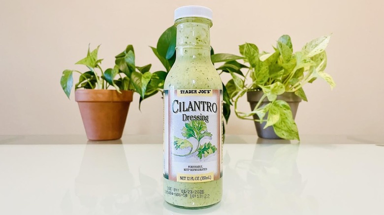 Trader Joe's Cilantro Dressing sits on a white surface in front of three potted plants