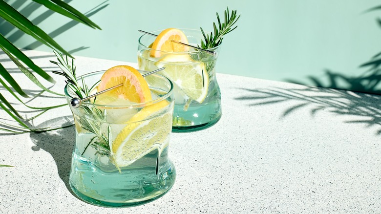 Cocktails in glass with citrus and herbs
