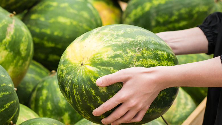 A person holding a watermelon