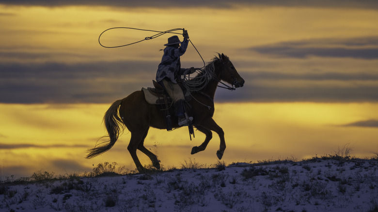 A cowboy rides a horse while throwing a lasso.